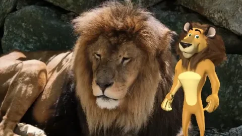 naar de dierentuin